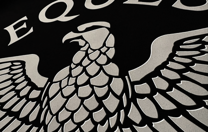 Schweres Unisex T-Shirt SPIRIT