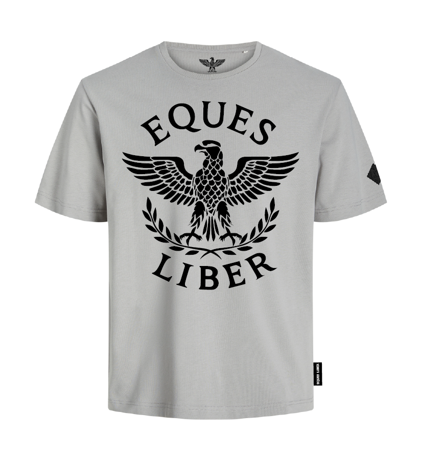 Schweres Unisex T-Shirt SPIRIT