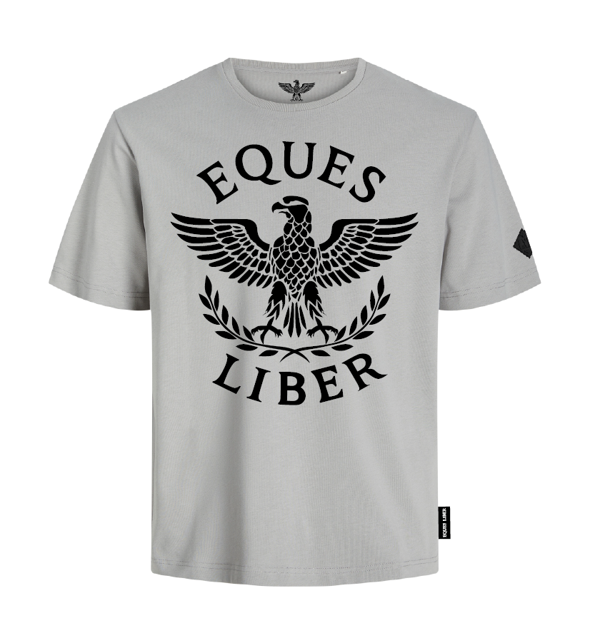 Schweres Unisex T-Shirt SPIRIT