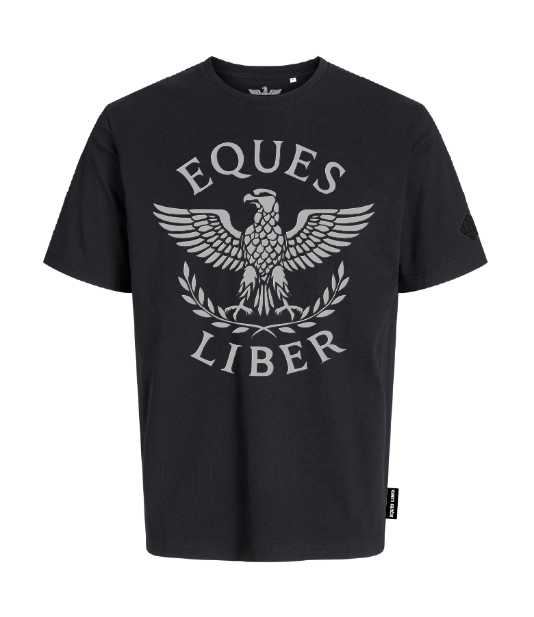 Schweres Unisex T-Shirt SPIRIT