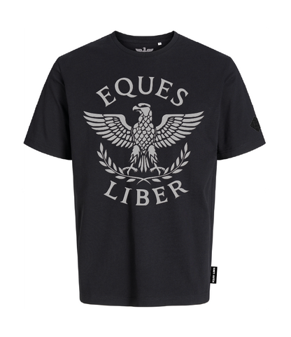 Schweres Unisex T-Shirt SPIRIT