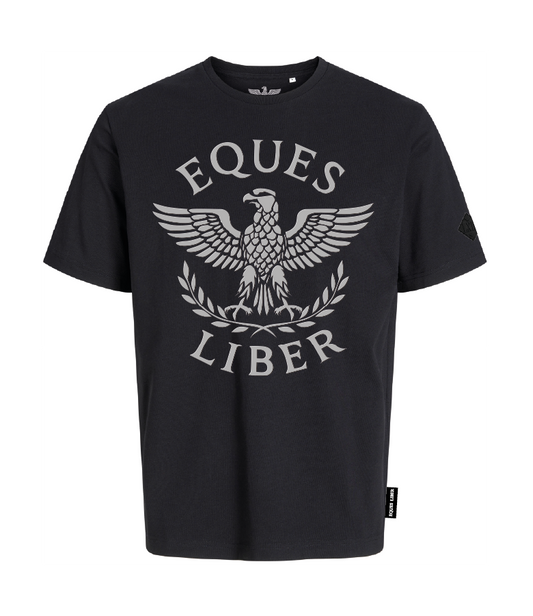 Schweres Unisex T-Shirt SPIRIT