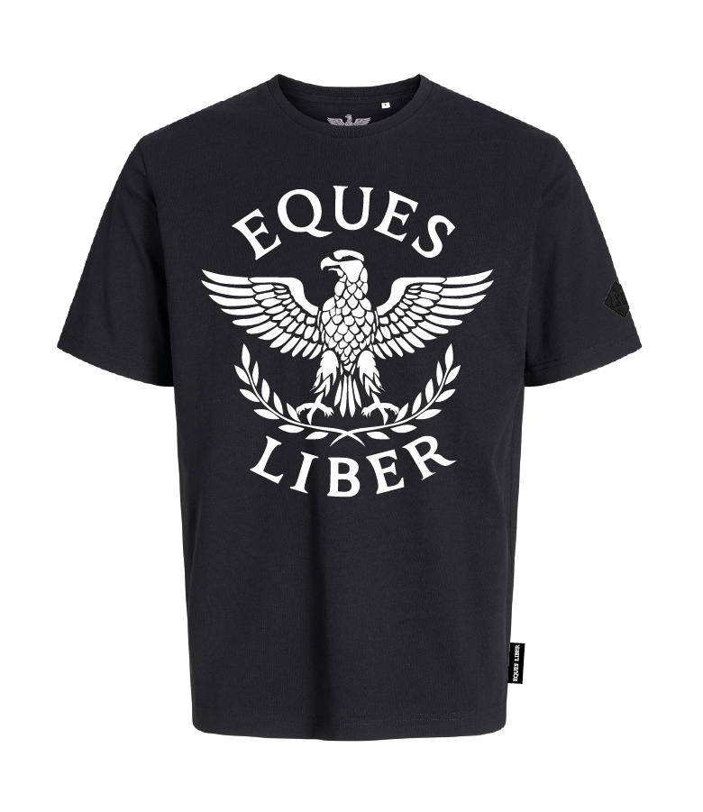 Schweres Unisex T-Shirt SPIRIT